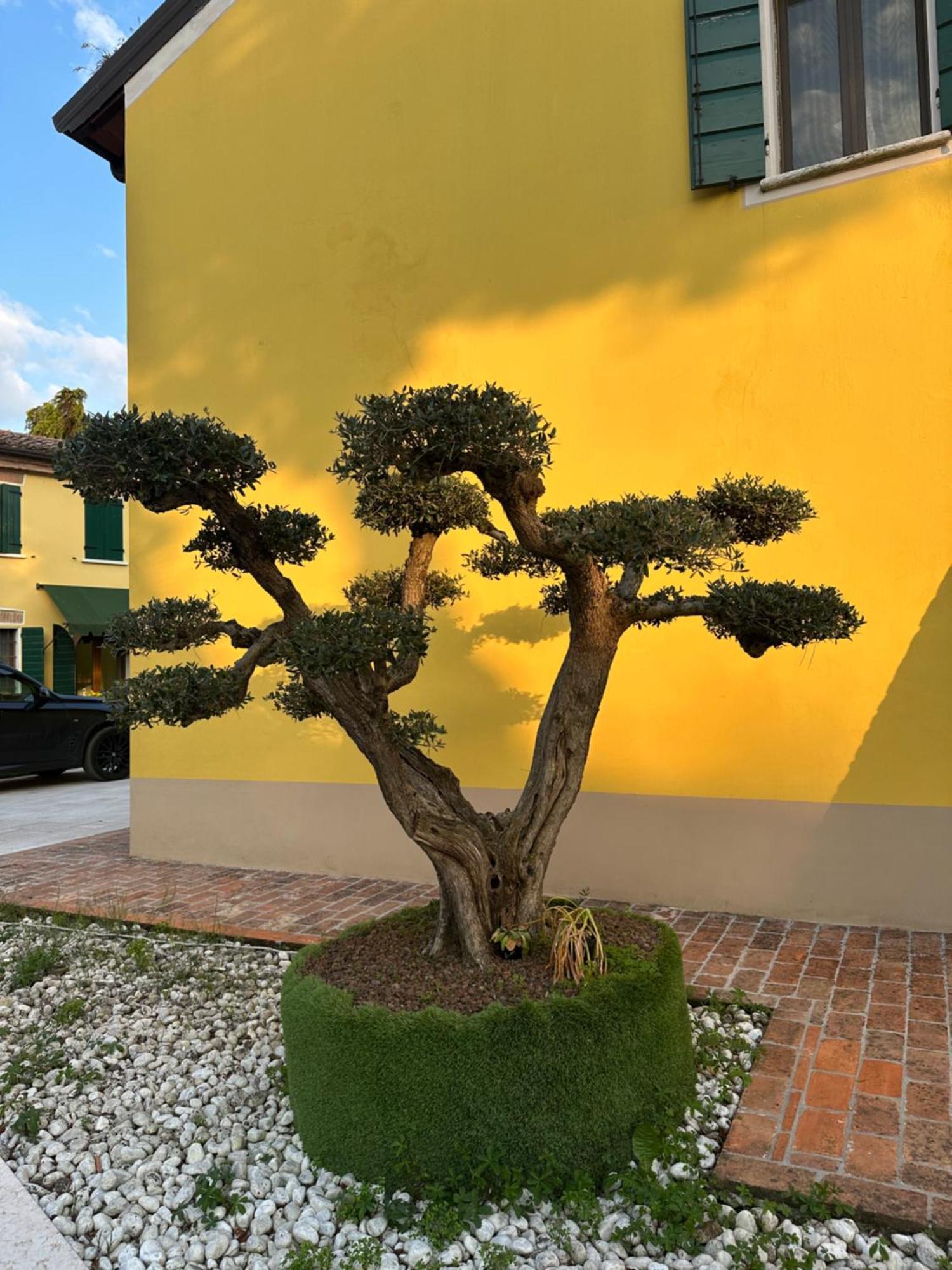 Agriturismo Corte Capiluppia Curtatone エクステリア 写真