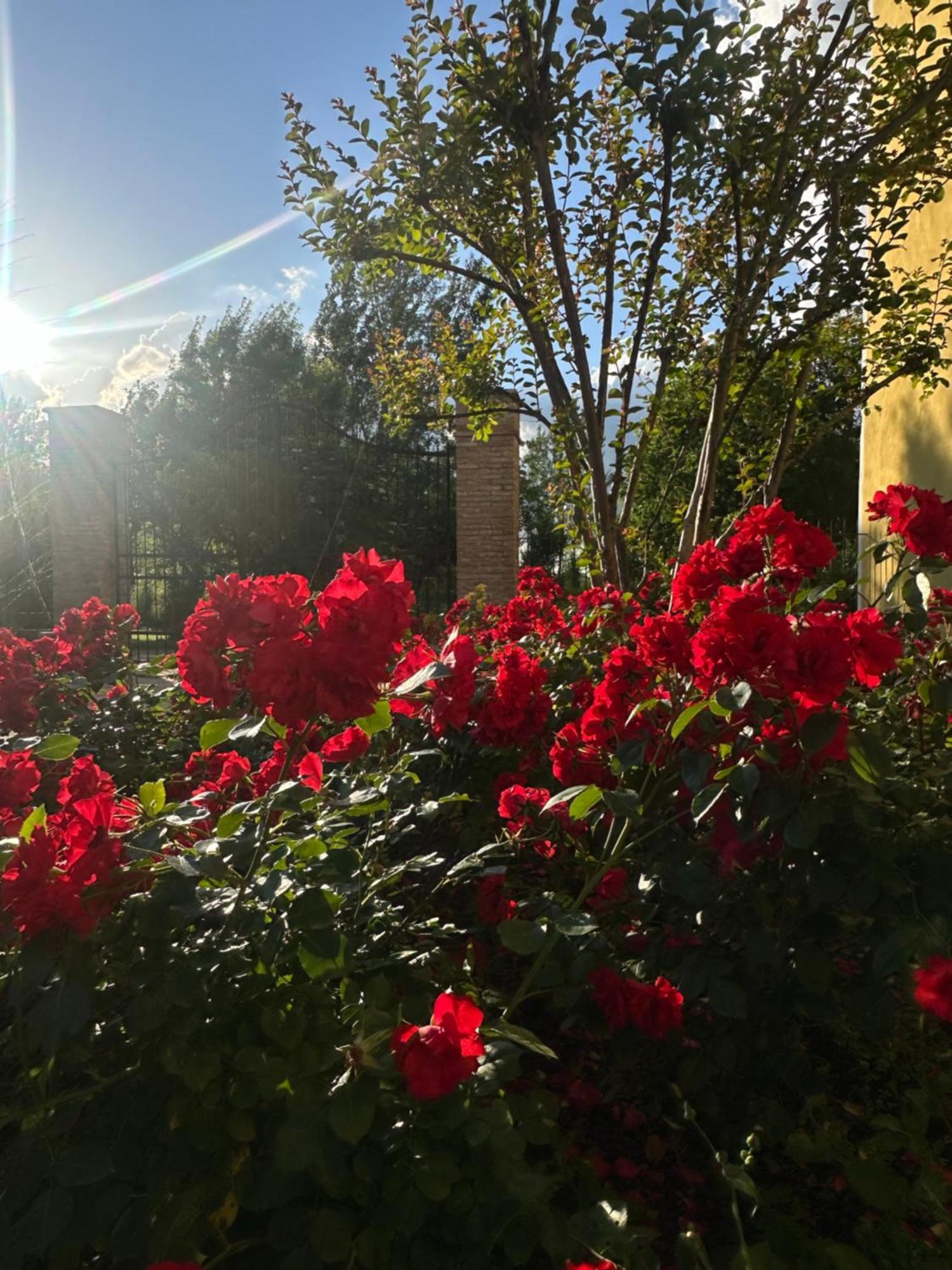 Agriturismo Corte Capiluppia Curtatone エクステリア 写真
