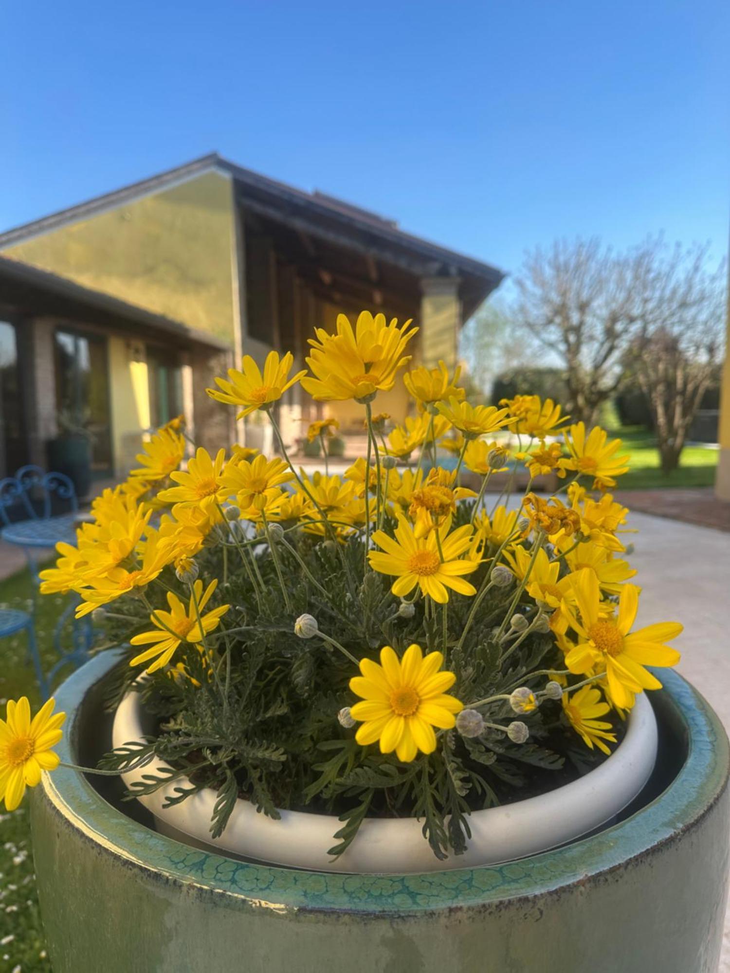 Agriturismo Corte Capiluppia Curtatone エクステリア 写真