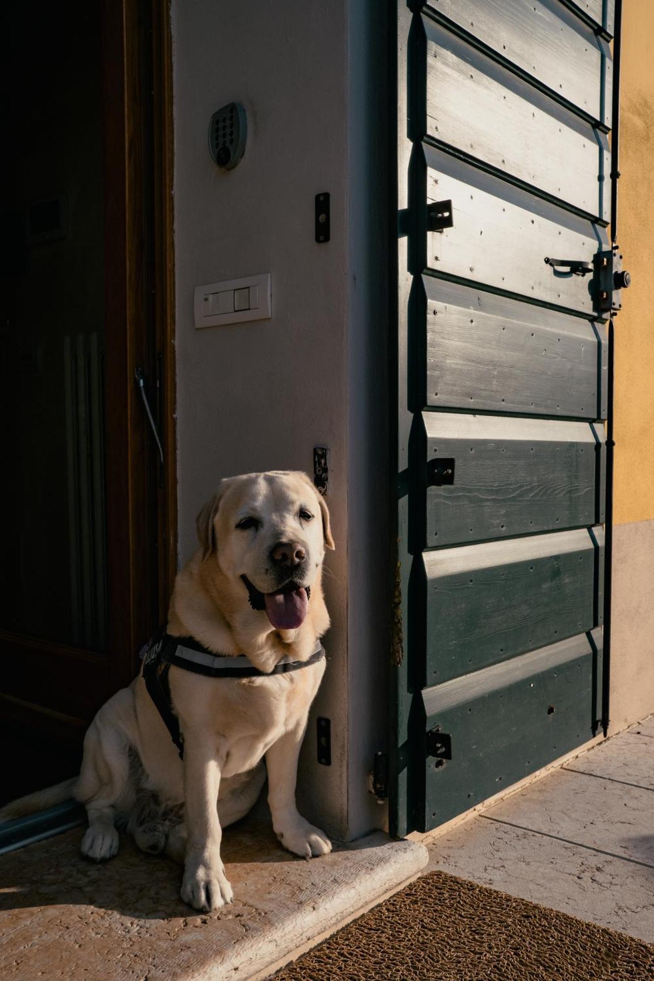 Agriturismo Corte Capiluppia Curtatone エクステリア 写真